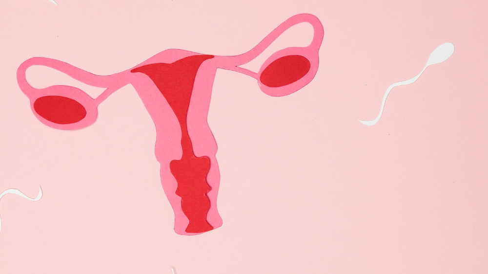 Fertility - DR Vinayak das Blog